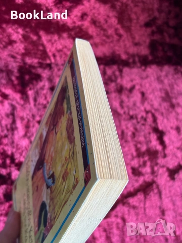 Какво направи Кейти след това| Сюзан Кулидж| Вечните детски романи| ПАН, снимка 4 - Детски книжки - 53987870