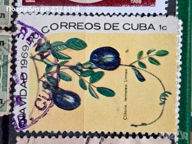 Колекция марки с куриози, снимка 11 - Филателия - 49760460