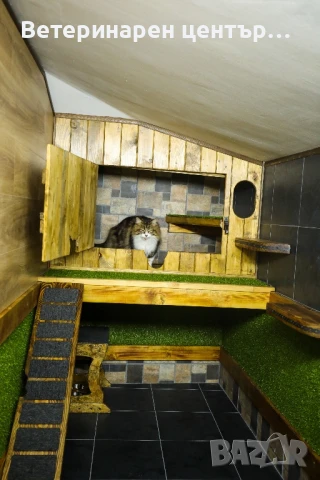 Хотел за котки Уговет , снимка 18 - Ветеринари и услуги - 49763338