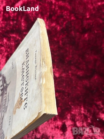 Видинските кметове | Генади Вълчев , снимка 4 - Други - 53863227