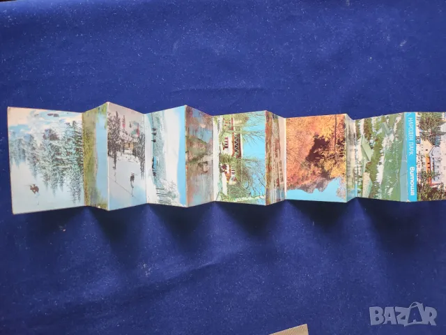 Видин фотографии (на малки диплянки) ч/б ( от 1950-те) и на Народен парк Витоша от 1973 г. цветни, снимка 9 - Други ценни предмети - 49939235