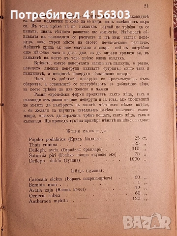 Пеперуди + Наставления за уредбата и гледането на училищните градини. 1896. , снимка 3 - Градински цветя и растения - 53784348
