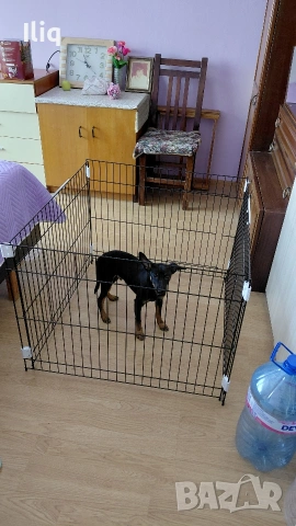 кошара за домашен любимец. нова. 