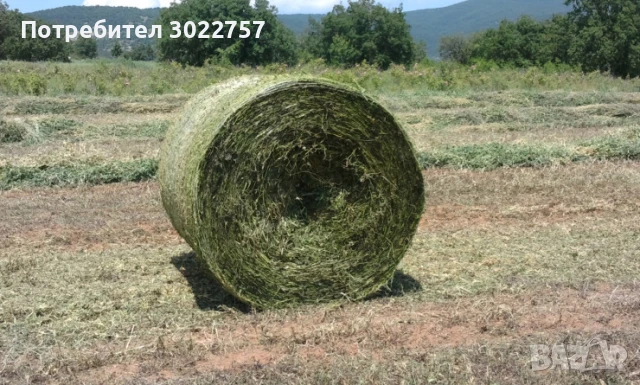 Рулонни бали от овес във восъчна зрялост, снимка 1