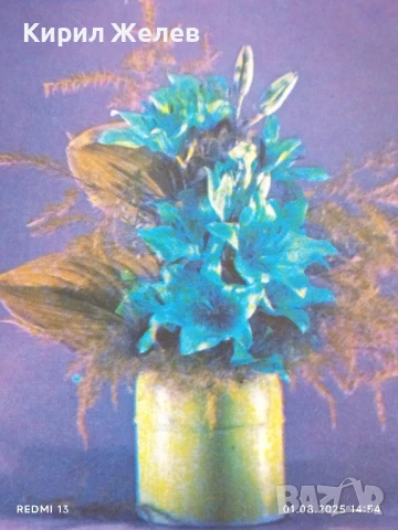 Старо календарче 89г. серия цветя за КОЛЕКЦИЯ ДЕКОРАЦИЯ 42048, снимка 2 - Колекции - 51217288