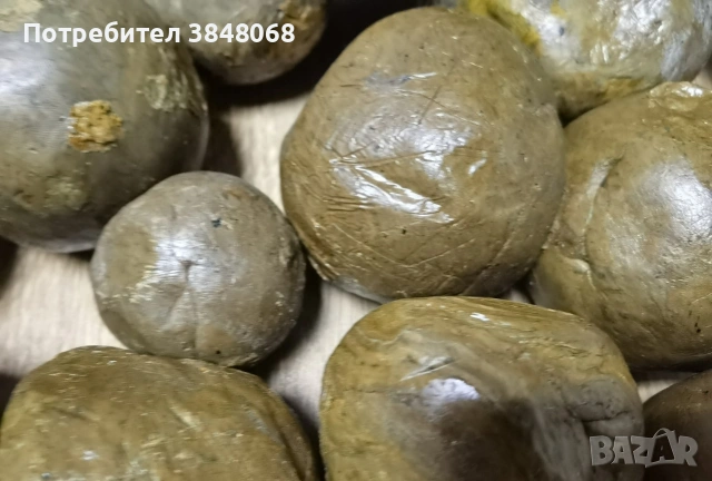 Прополис, снимка 3 - Пчелни продукти - 52037708