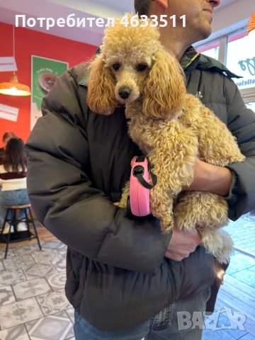 Утвърден ресторант с регистрирана марка и изградена клиентска база, снимка 8 - Заведения - 53732173