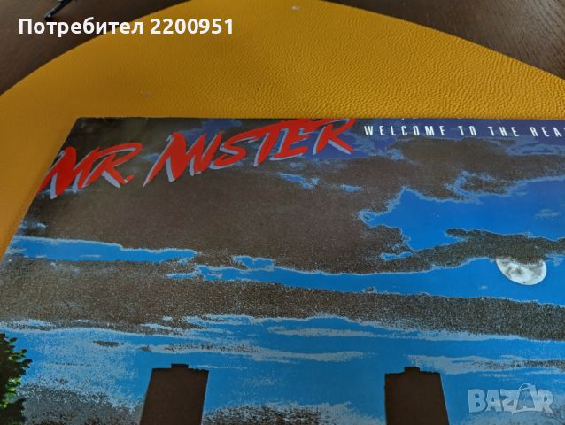 MR. MISTER, снимка 2 - Грамофонни плочи - 46112018