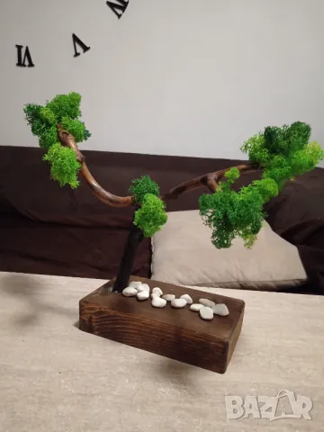 Бонсай от Скандинавски мъх , снимка 3 - Декорация за дома - 48915324