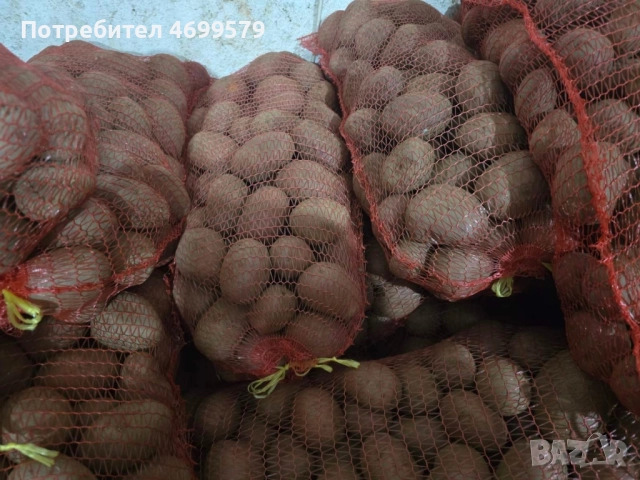 Вкусни картофи от производител , снимка 6 - Домашни продукти - 52976615