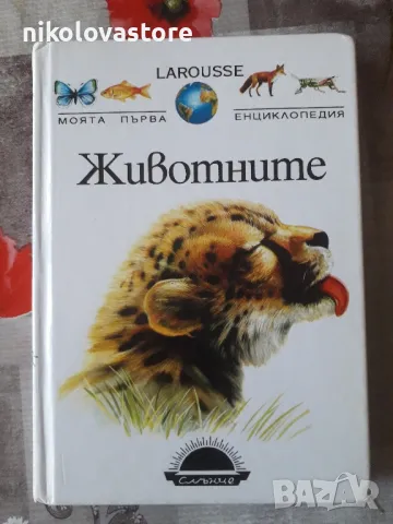 детска енциклопедия за животните, снимка 1 - Енциклопедии, справочници - 47647296