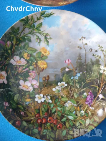 6бр Furstenberg Бавария немска колекционерска декоративна порцеланова чиния-картина/цветя, снимка 3 - Картини - 49231812