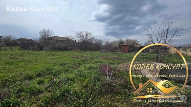 🥇 Агенция “Колев Консулт” продава едноетажна къща в село Свобода, община Чирпан, снимка 4 - Къщи - 53945641