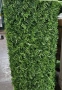 Декоративна оградна мрежа жив плет 10м. топ височина от 1м. до 2м., снимка 3