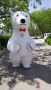 Изненада с гигантска бяла мечка, снимка 3