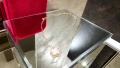 Van Cleef & Arpels VCA Rose Gold Mother of Pearl Vintage Alhambra Clover Дамско Колие, снимка 3