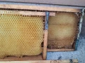 изградени пчелни магазинни пити ДБ и Фарар, снимка 3