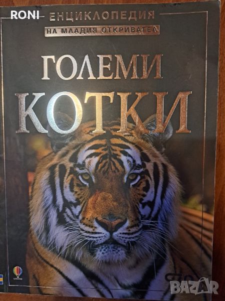 Енциклопедия за големите котки, снимка 1