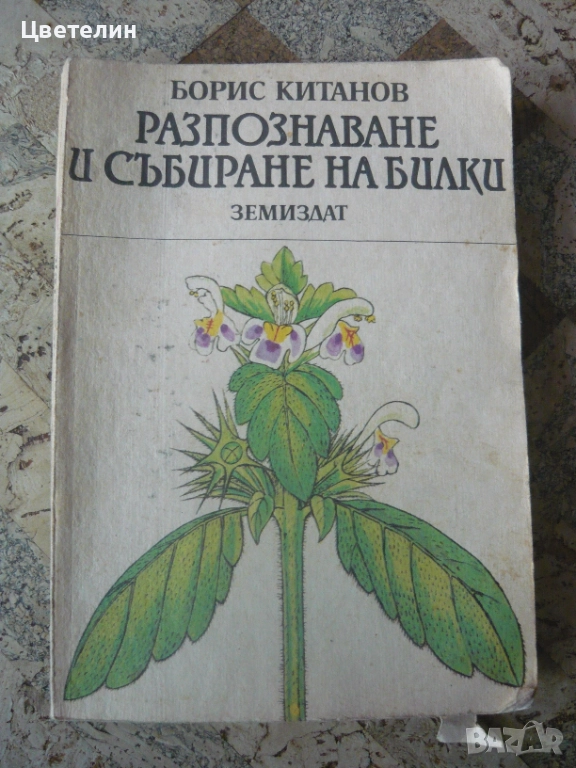 "Разпознаване и събиране на билки" - Борис Китанов, снимка 1