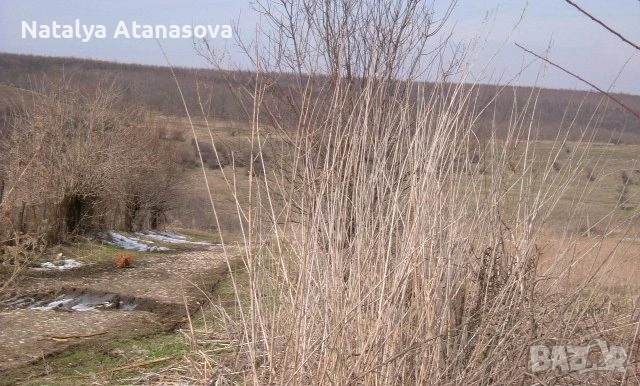 Парцел за продажба в Сърнец, област Добрич, снимка 8 - Парцели - 53656540