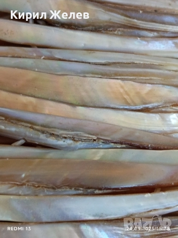 Дамска гривна натурален кралски седеф разтеглива ХЕНД МЕЙД прекрасна 51378, снимка 2 - Гривни - 51822360