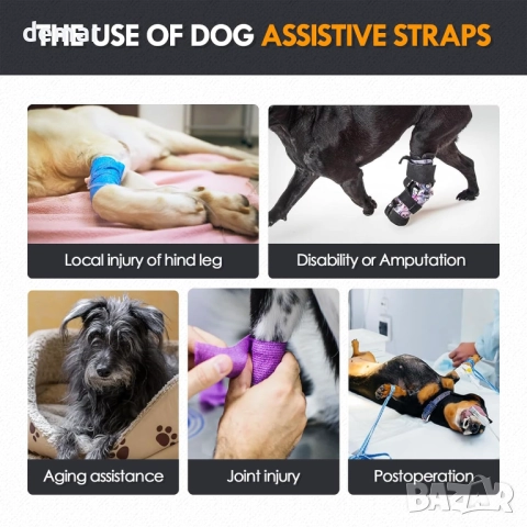 Регулируем опорен колан за повдигане на кучета за задни крака, XL, снимка 4 - За кучета - 52415642