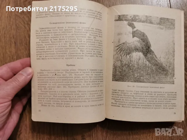 Наръчник на ловеца и риболовеца-Земиздат 1974г., снимка 18 - Специализирана литература - 49699300
