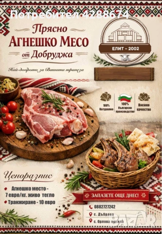 Агне/ Агнета за Великден и Гергьовден, снимка 2 - Овце - 54120629