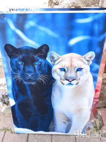 Светеща картина с LED осветление - бяла и черна пантера 