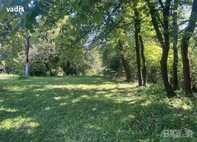 Вила във В.З. Зелин, снимка 2 - Вили - 50105438