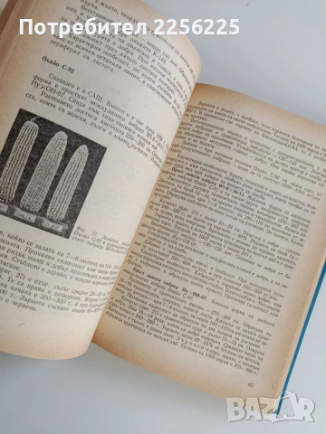 Отглеждане на хибридните царевици, снимка 10 - Части - 53043848
