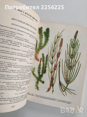 ЛОТ Билко - събиране, снимка 9 - Специализирана литература - 53208657