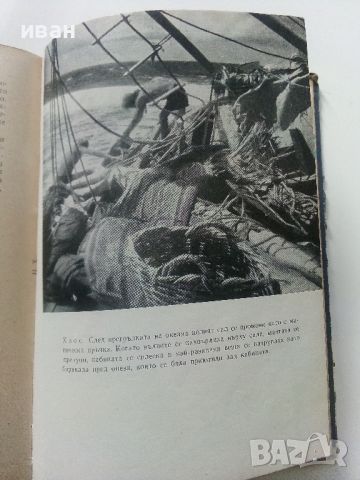 Експедицията "Кон-Тики..." - Тор Хейердил - 1958г., снимка 6 - Енциклопедии, справочници - 45209495