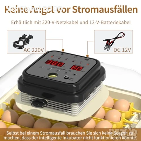 Инкубатор за 30 яйца Chalixion автоматичен, снимка 6 - Други стоки за животни - 54223333