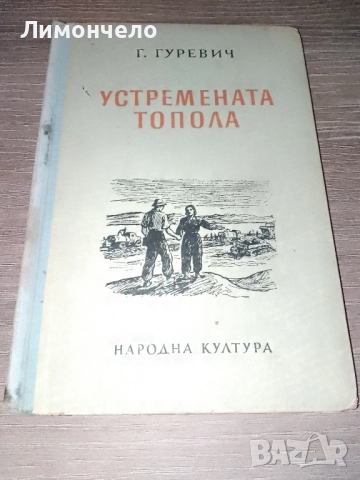 Устремената топола 1951 г. Г. Гуревич
