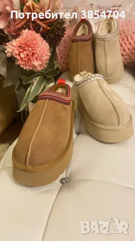 Апрески обувки UGG Tazz  , снимка 1 - Други - 48106099