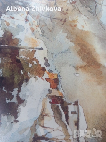 две картини рамкирани под хелеоматично стъкло, снимка 7 - Картини - 52051713