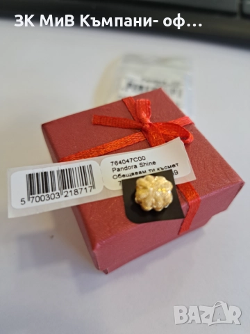 Pandora-Талисман , снимка 2 - Други - 52236874