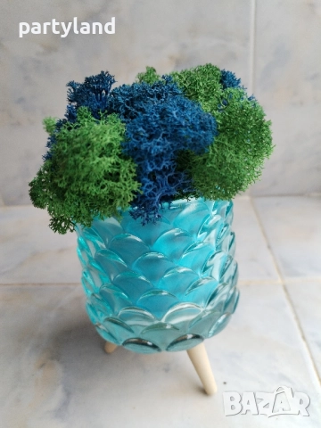 Скандинавски мъх декорация оригинален подарък, снимка 7 - Декорация за дома - 51985982