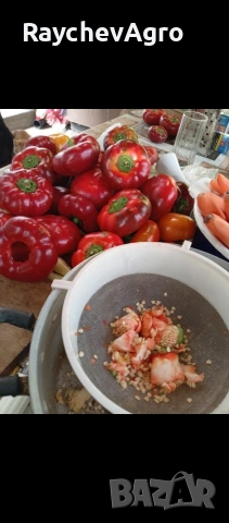 Царска капия, селски пипер семена!, снимка 2 - Сортови семена и луковици - 53701978