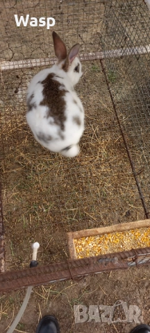 Продавам или заменям 