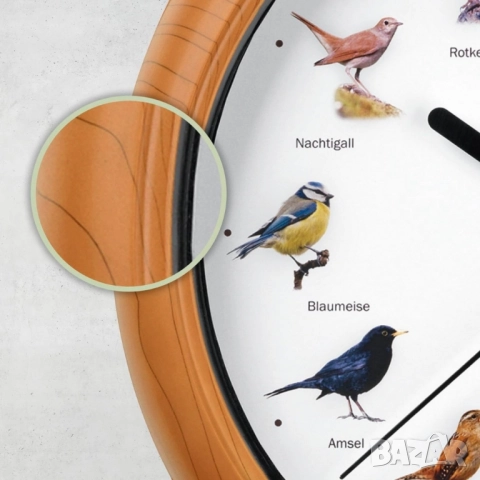 Стенен часовник с автентични птичи песни – природа във всеки час, снимка 5 - Други стоки за дома - 51918198