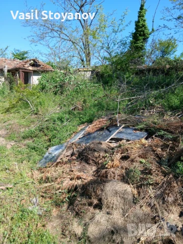 Косене на трева.Почистване на дворни места от храсти , дървета , снимка 10 - Други услуги - 50491395