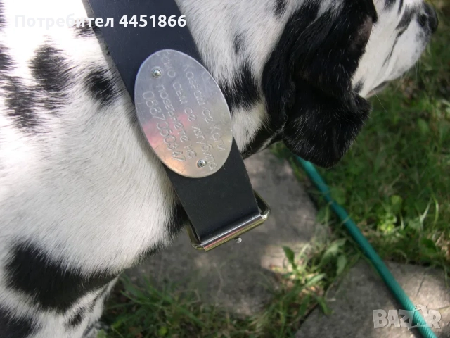 Изработка на медальони за домашни любимци