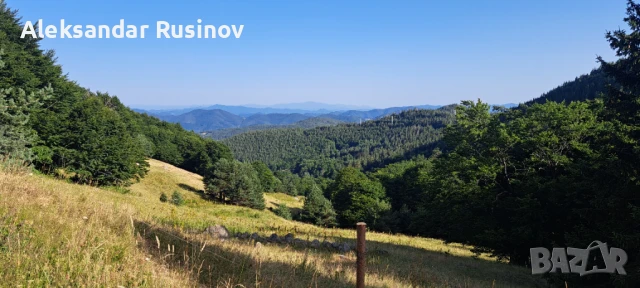 Продава земя в Родопите, снимка 4 - Земеделска земя - 51240486