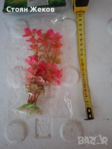 продавам изкустено растение