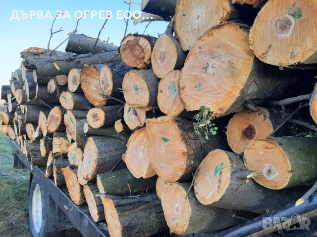 предлагам дърва за огрев метровки ябълка дървата са едри доставям до адрес , снимка 2 - Дърва за огрев - 53846407