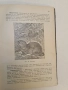 Животнитѣ от биологично гледище - Борис Митов (1935, Луксозна изработка, Отлично състояние), снимка 13