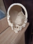декоративен череп, снимка 6