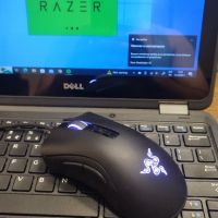 Razer DeathAdder V2

, снимка 1 - Клавиатури и мишки - 45382379